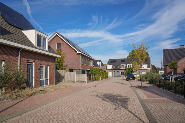 Foto 28 van Bollenhoef 10