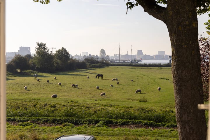 Foto 17 van Schellingwouderdijk 99