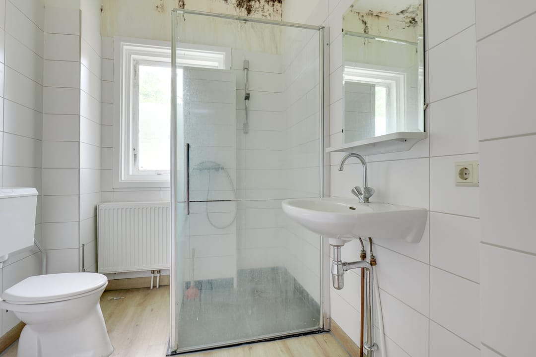 Photo 22 of Amsterdamsestraatweg 568