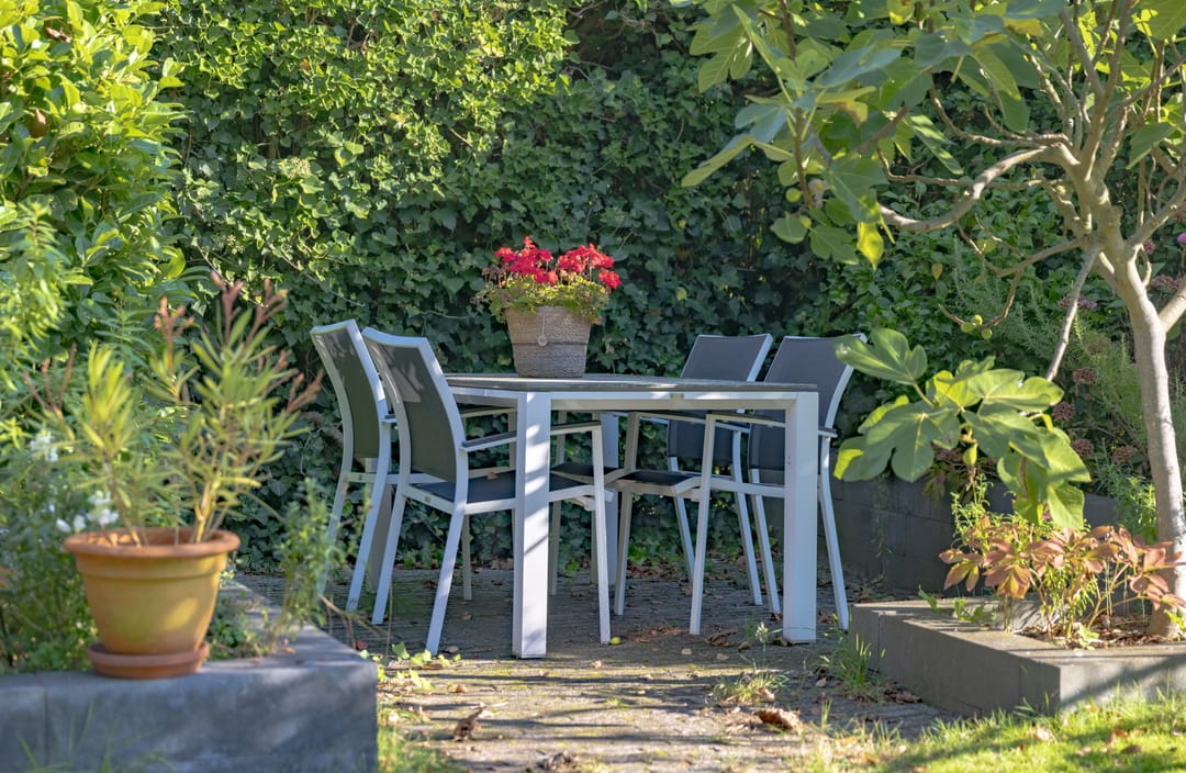 Photo 41 of Houtweg 1