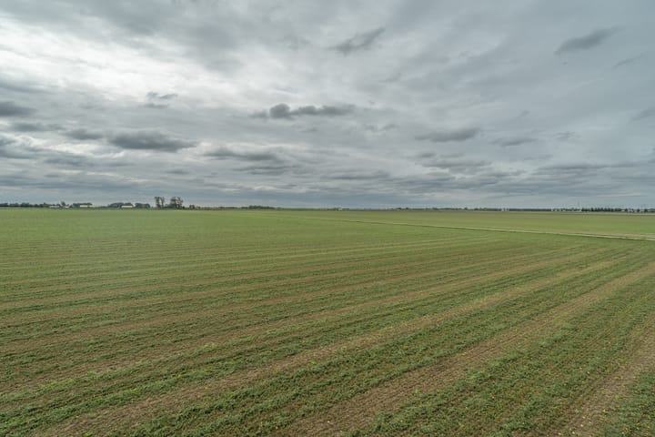 Foto 40 van Zuidhof 21