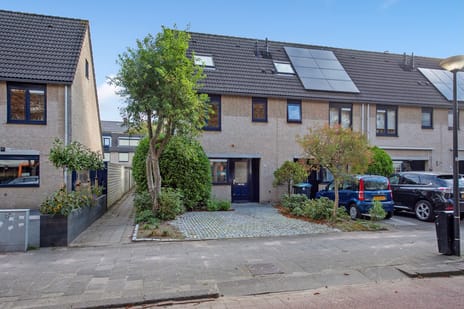 undefined main image