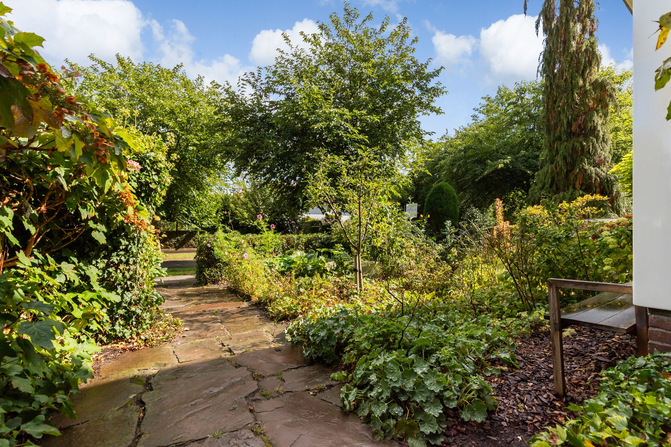 Foto 3 van Moerbeilaan 82