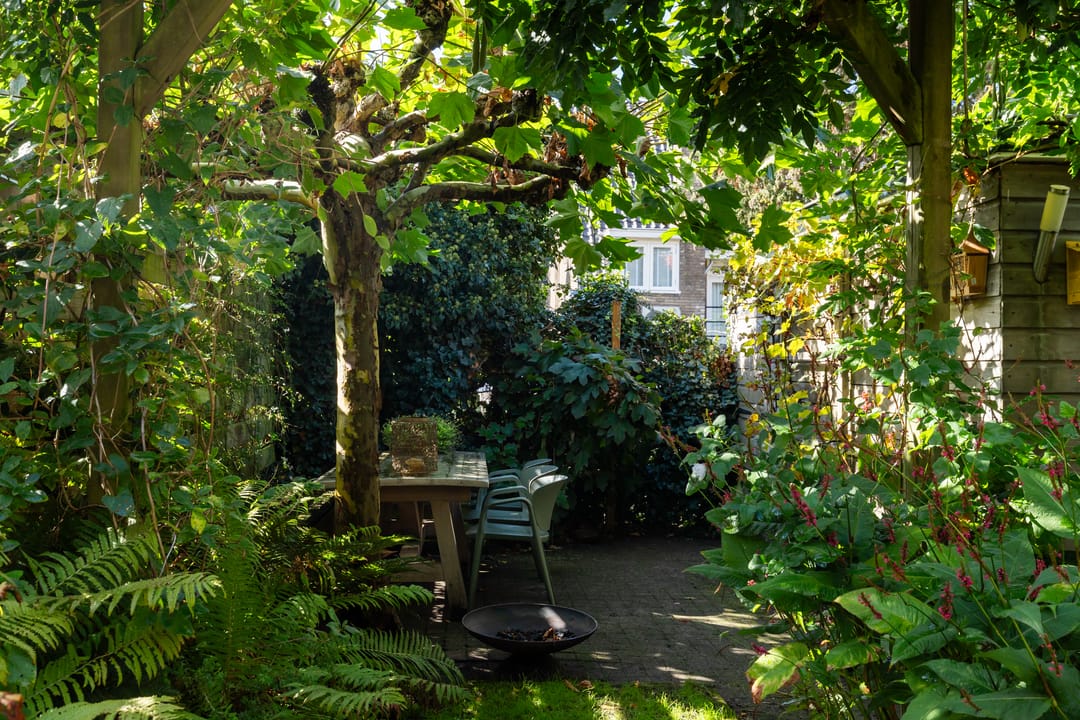 Foto 13 van Moerbeilaan 82