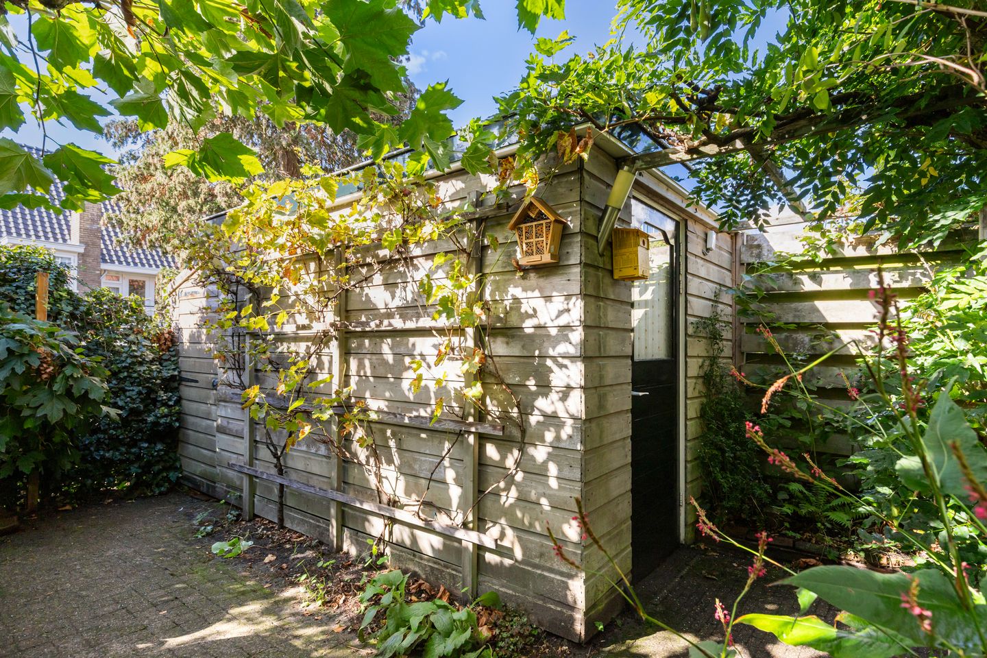 Foto 14 van Moerbeilaan 82