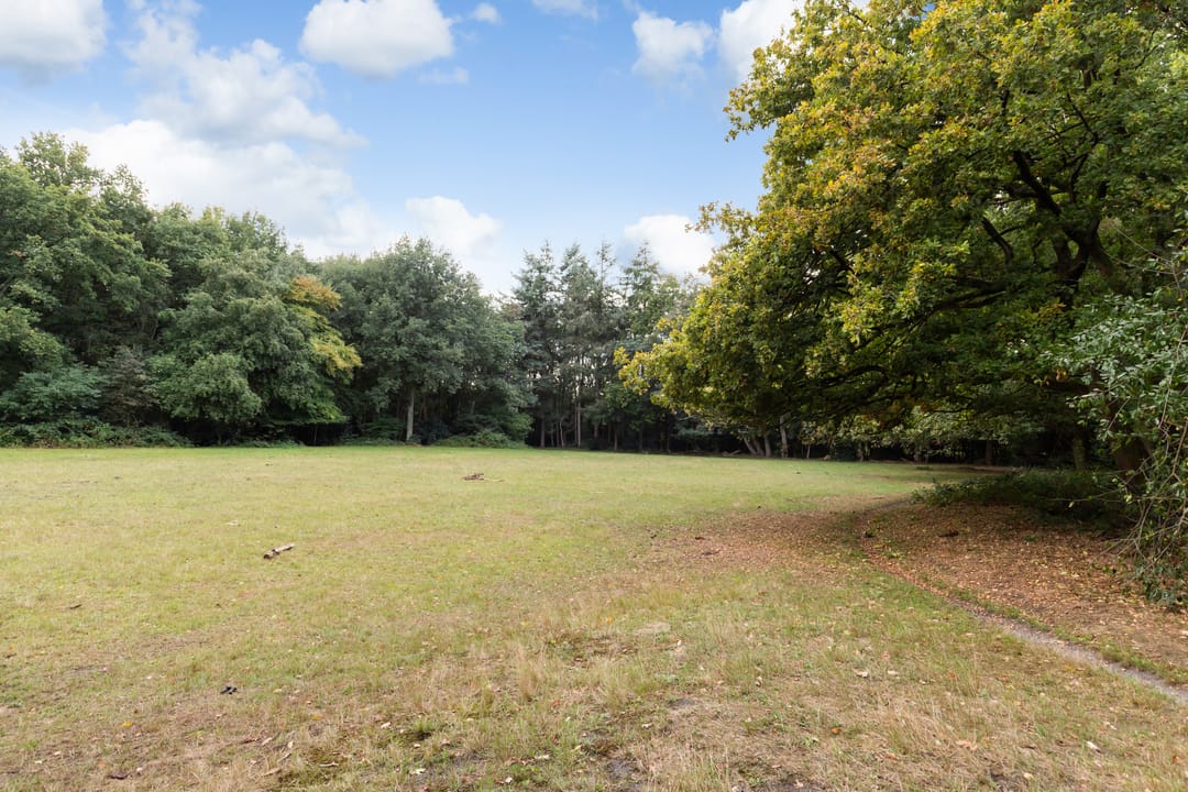 Foto 26 van Moerbeilaan 82