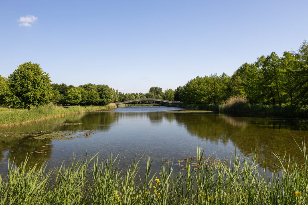 Foto 73 van Max Ernstlaan 8