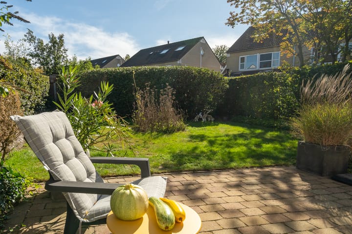 Photo 49 of Thérèse Schwartzelaan 8