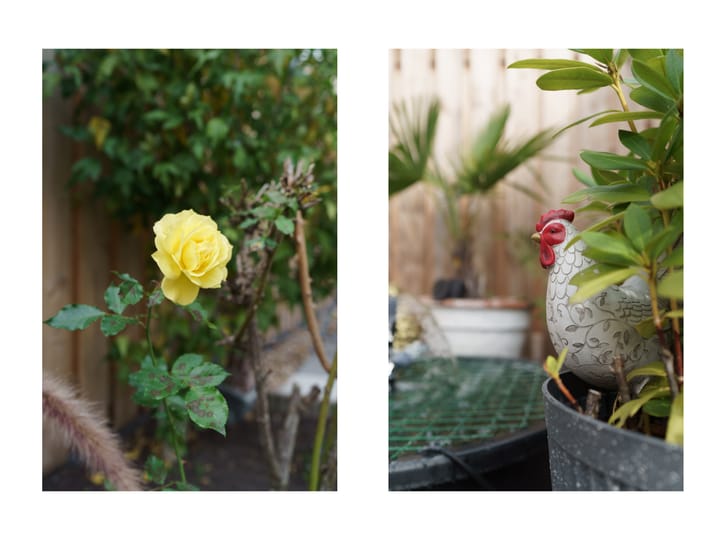 Foto 17 van Aletta Jacobsstraat 32