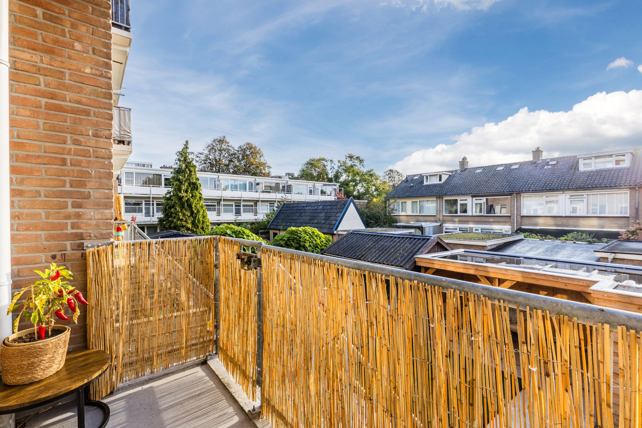 Foto 21 van Hobbemalaan 19