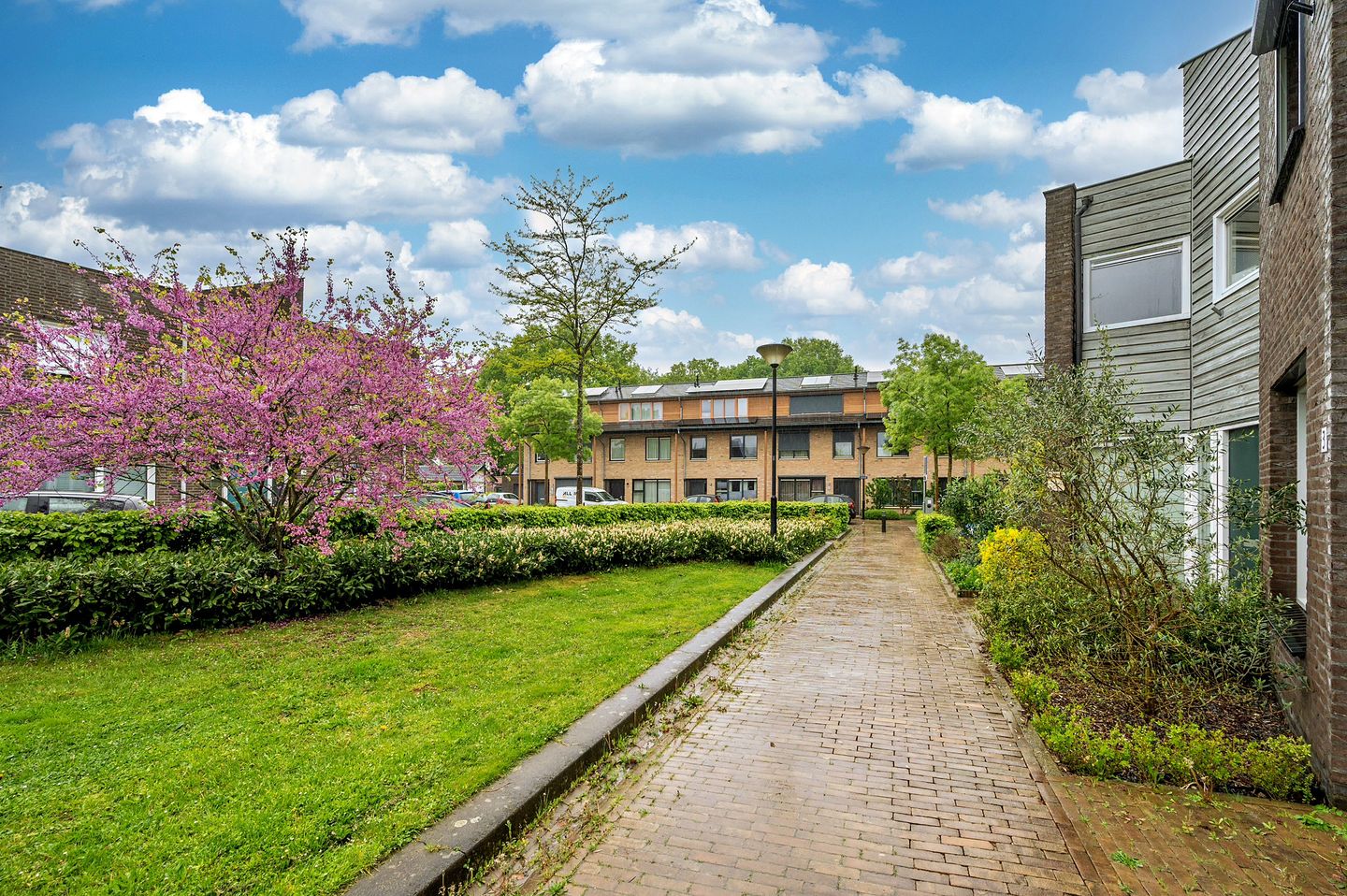 Foto 40 van Prasem 3