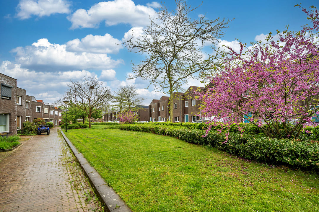 Foto 41 van Prasem 3