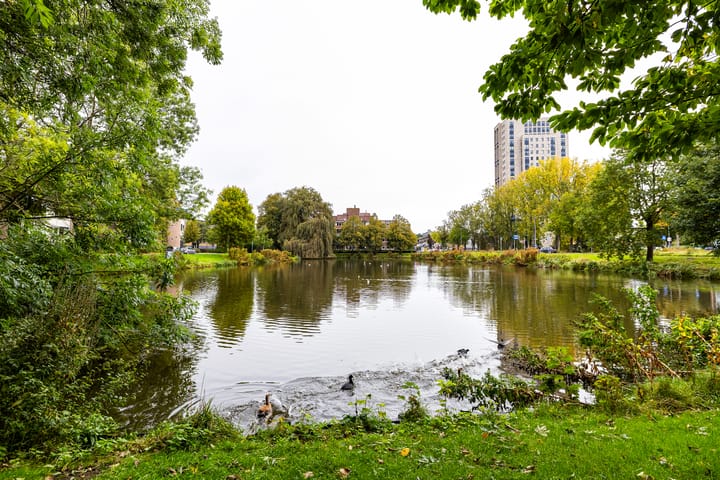 Foto 36 van Capellastraat 2