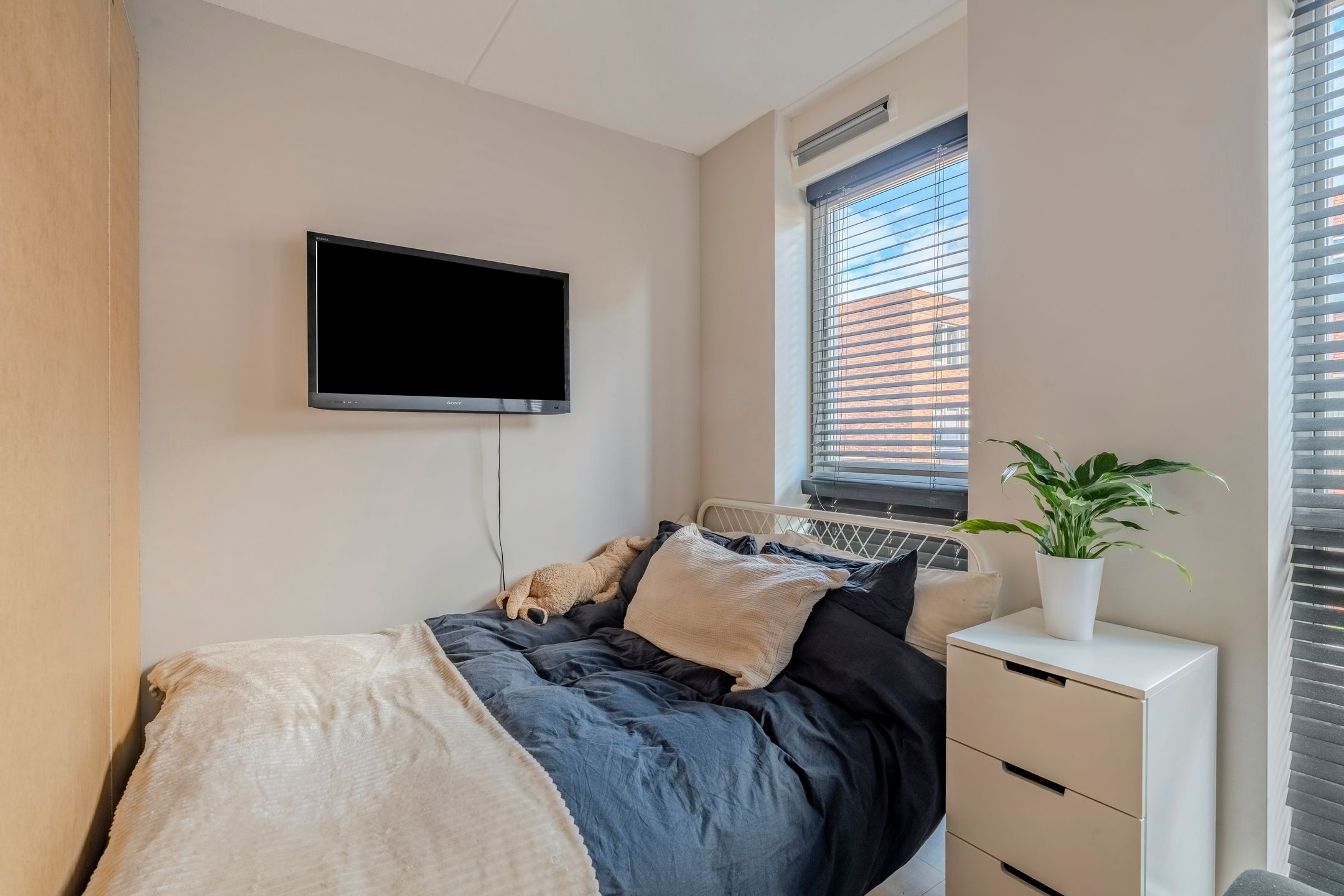 Photo 24 of H.T. Zwiersplantsoen 33