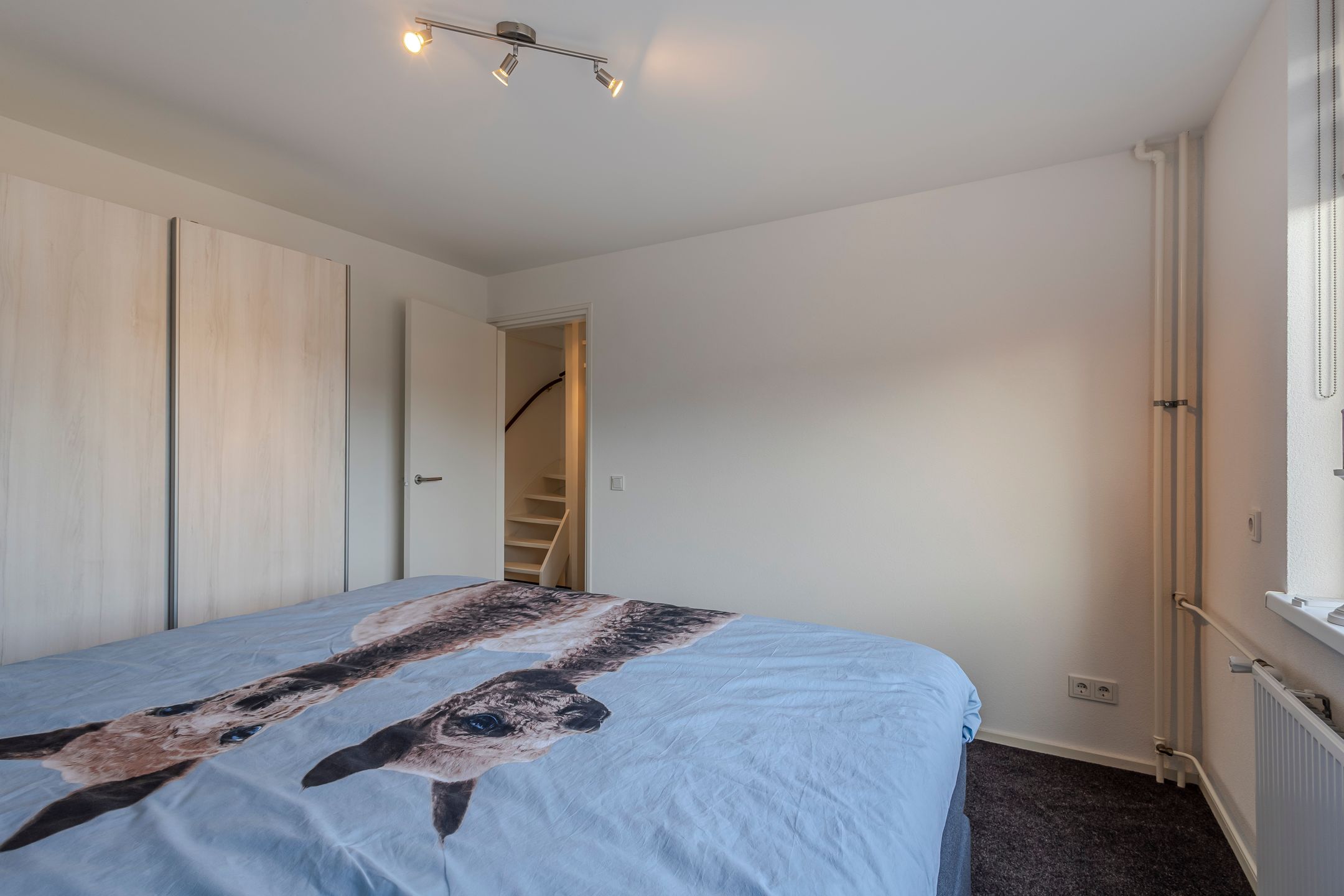 Foto 24 van Hasselmanstraat 6