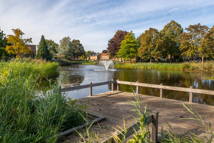 Foto 40 van Hasselmanstraat 6