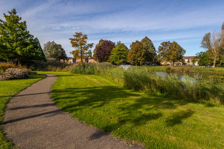 Foto 42 van Hasselmanstraat 6