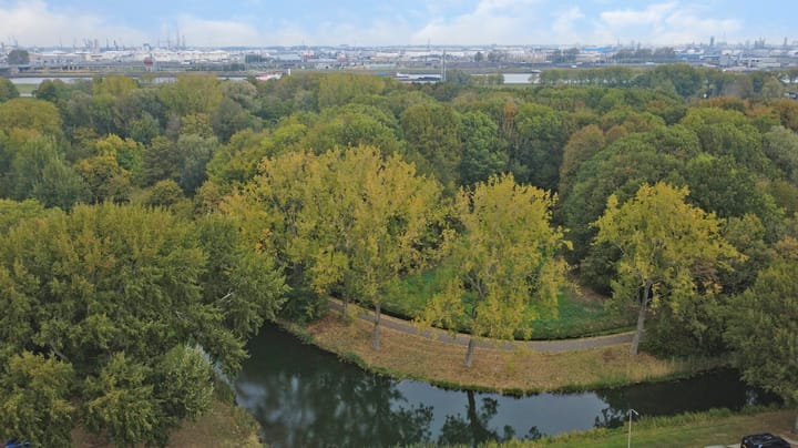 Foto 27 van Boterbloempad 10