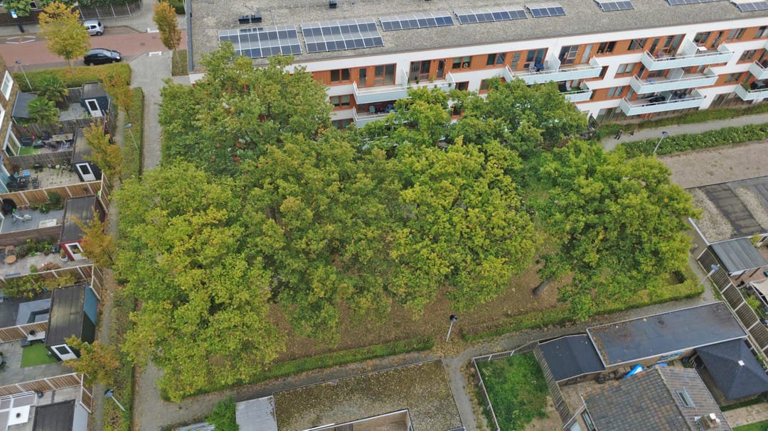 Foto 28 van Boterbloempad 10