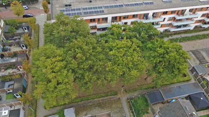 Foto 28 van Boterbloempad 10