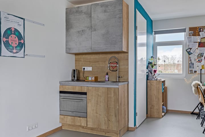 Foto 42 van P. Lieftinckstraat 16