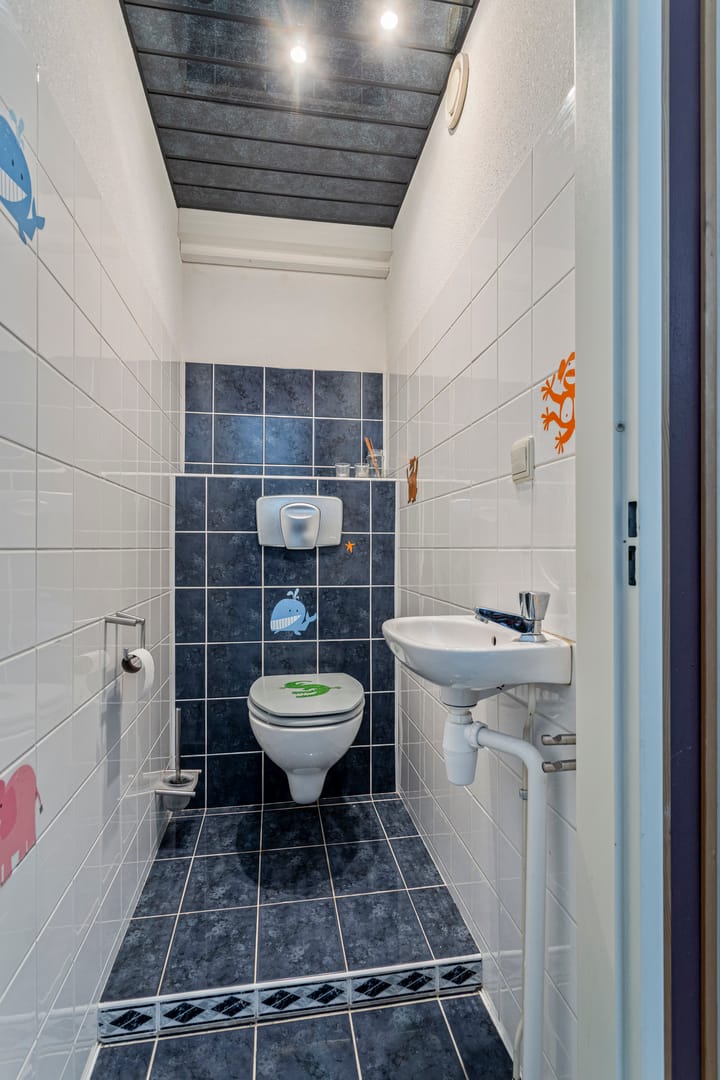 Foto 32 van P. Lieftinckstraat 16