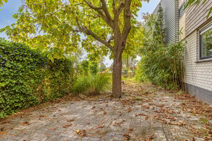 Foto 60 van Oesterbank 11