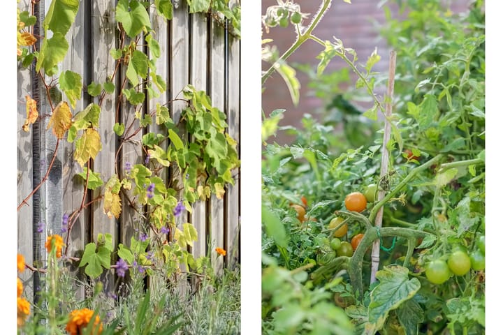 Foto 35 van Gerbrandystraat 20