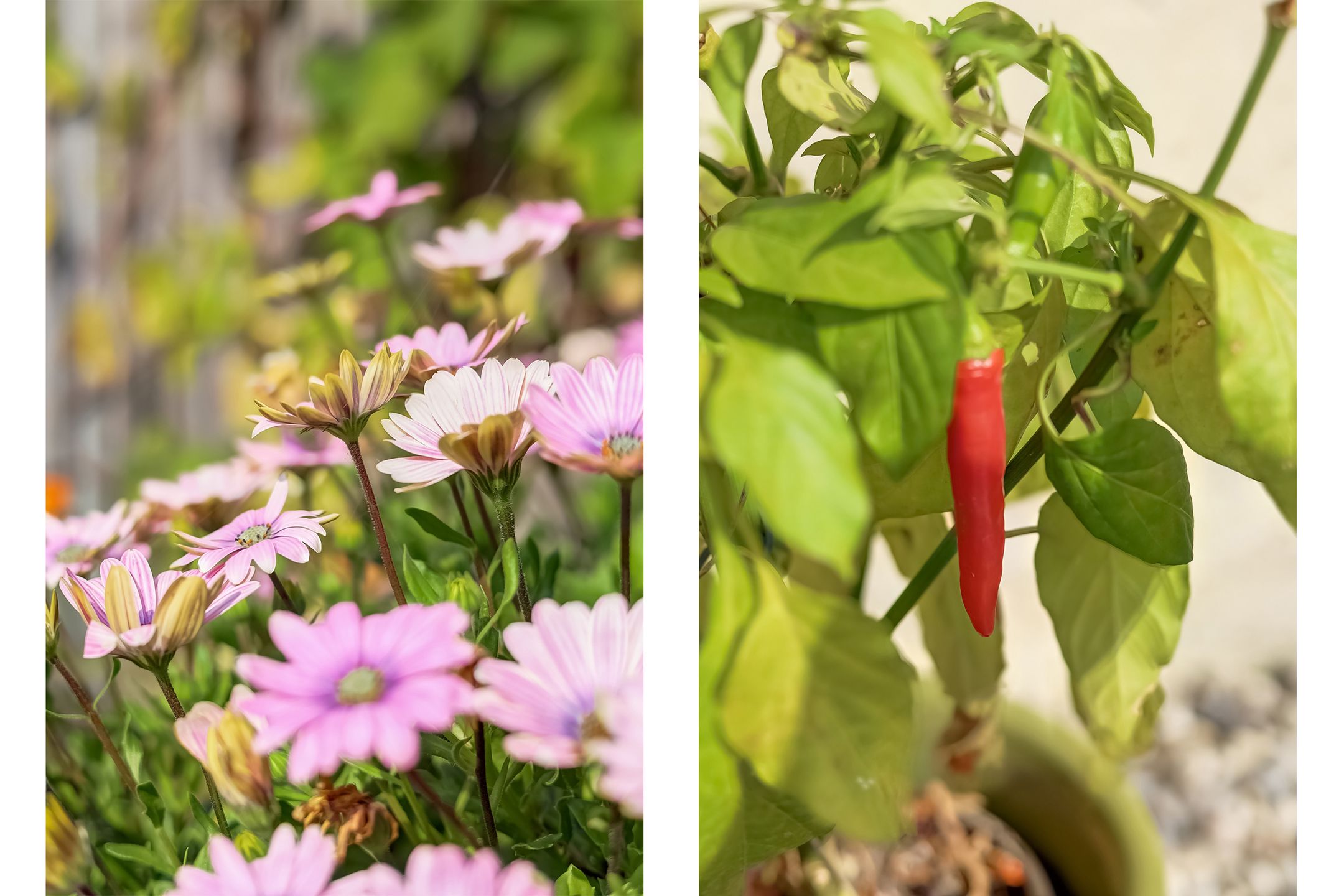 Foto 36 van Gerbrandystraat 20