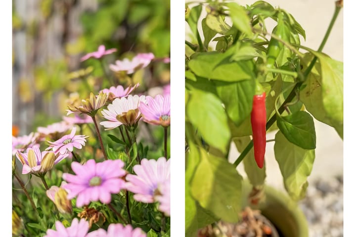 Foto 36 van Gerbrandystraat 20