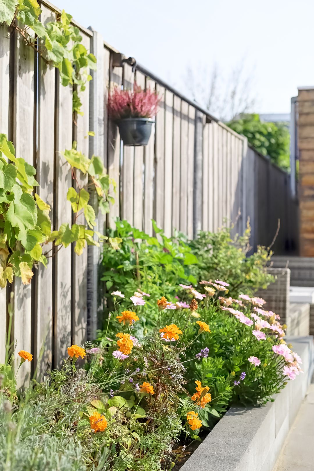 Foto 37 van Gerbrandystraat 20