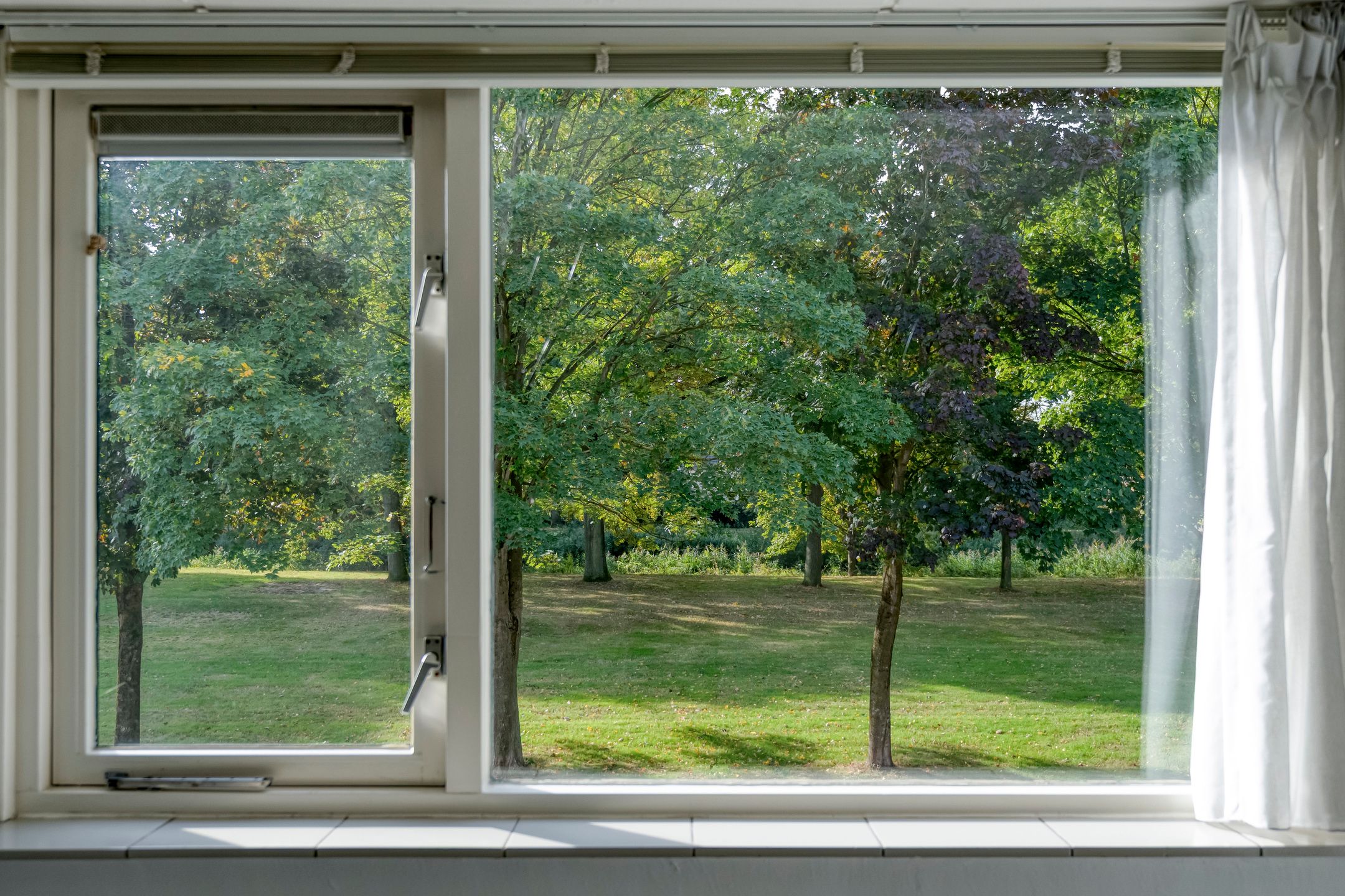 Foto 24 van E E G laan 25