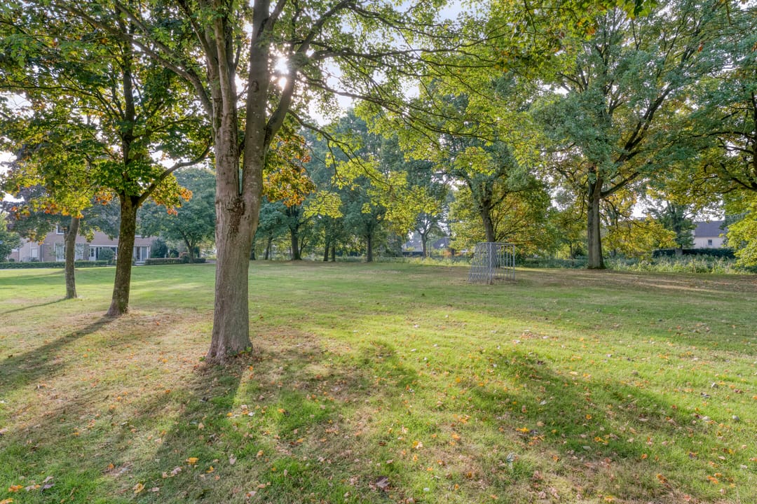 Foto 43 van E E G laan 25