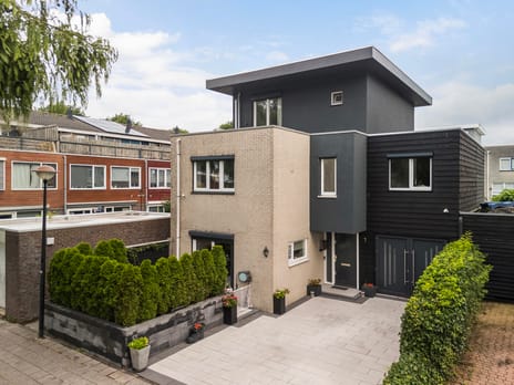 Grote Poelslak thumbnail