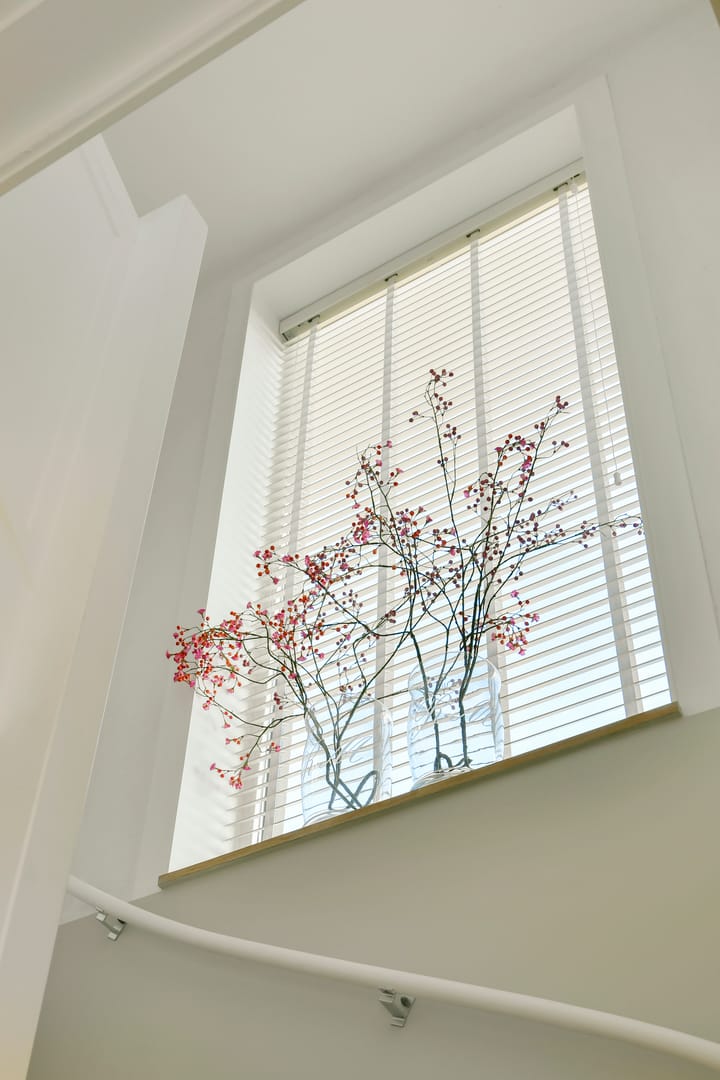 Foto 21 van San Marco 53