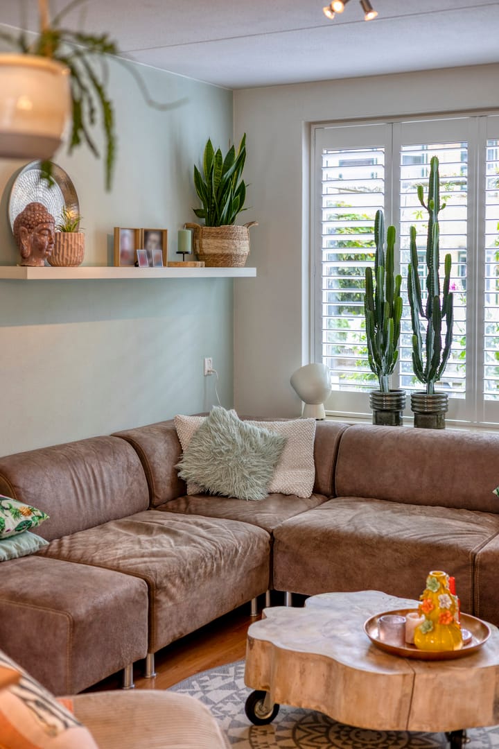 Foto 13 van Zeggemeen 49