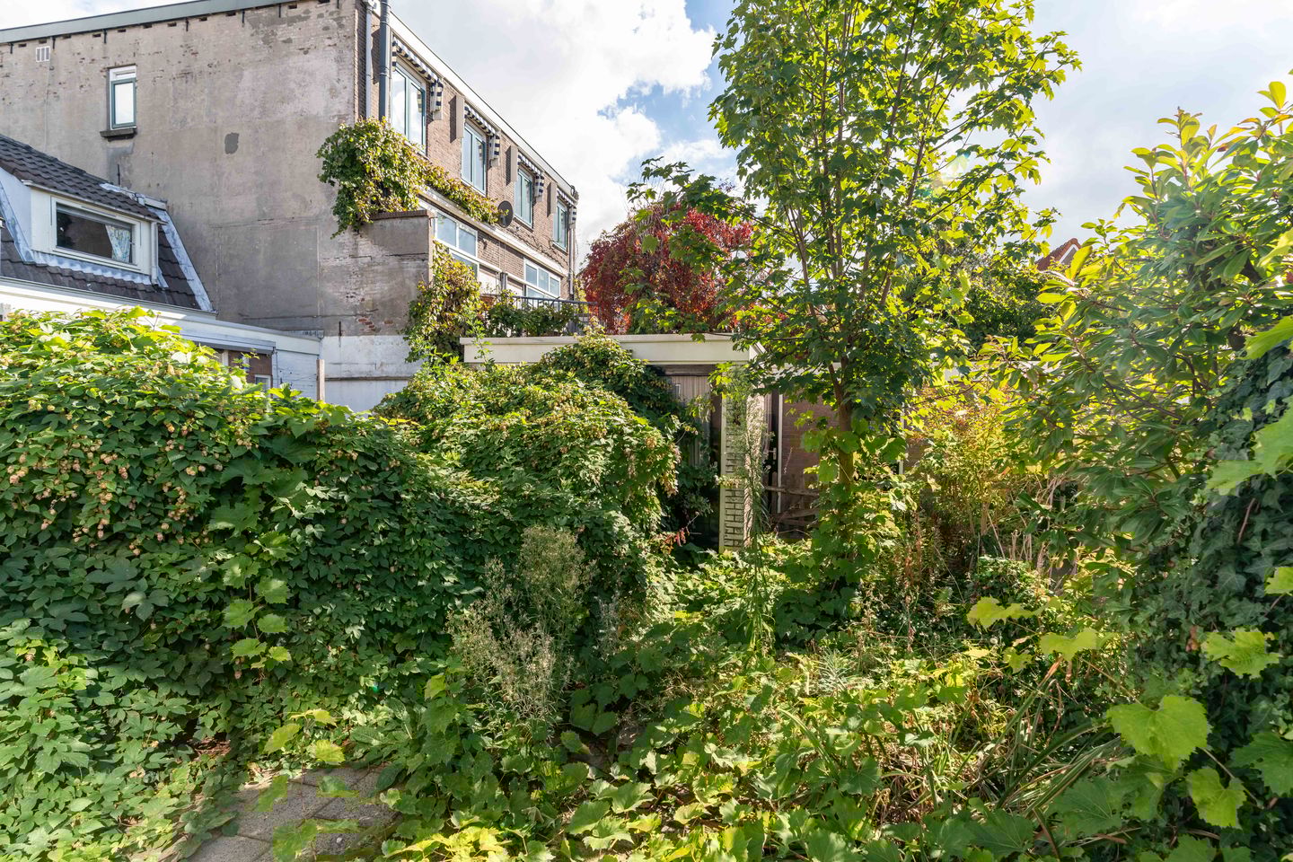 Foto 14 van Patrimoniumstraat 1