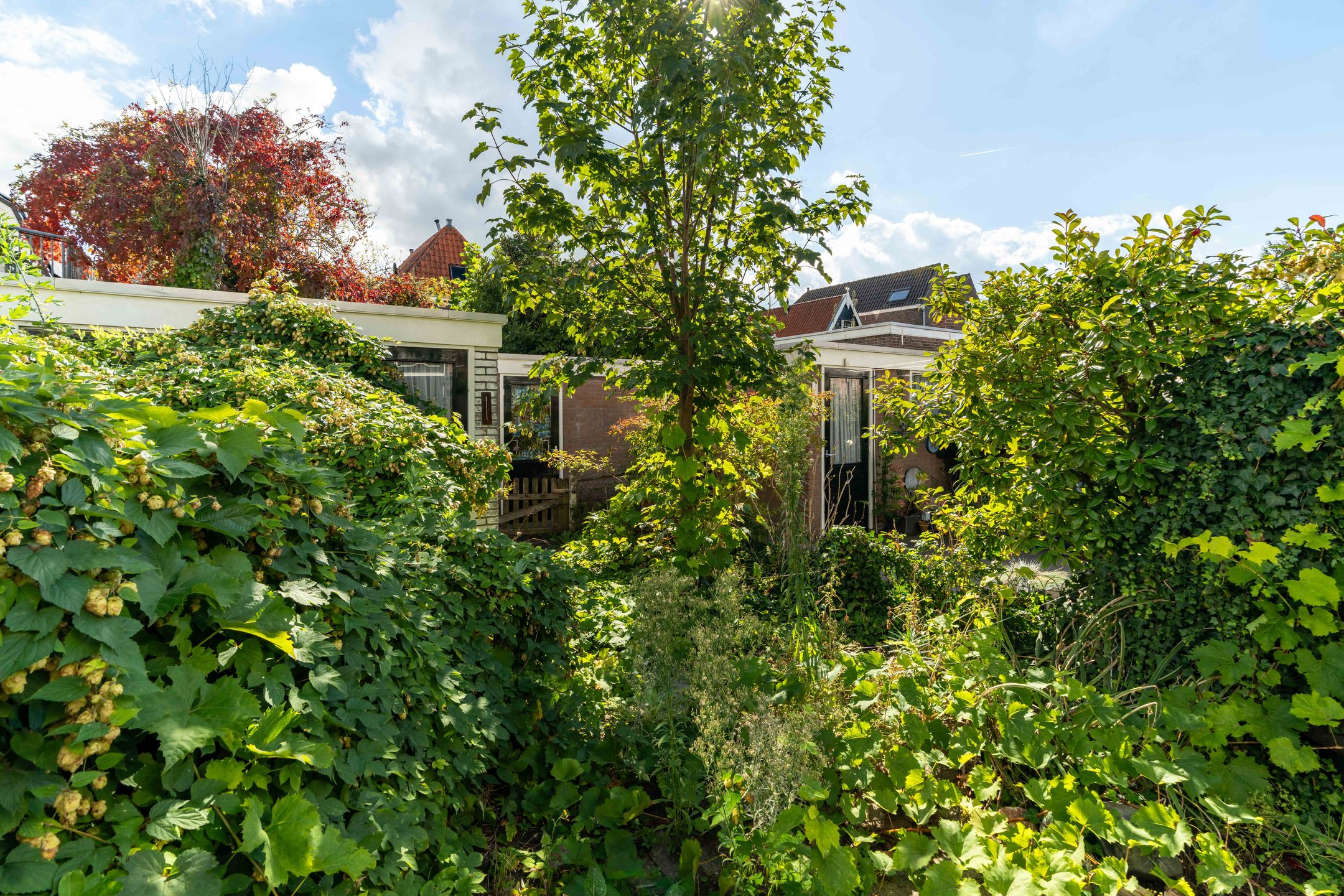 Foto 15 van Patrimoniumstraat 1