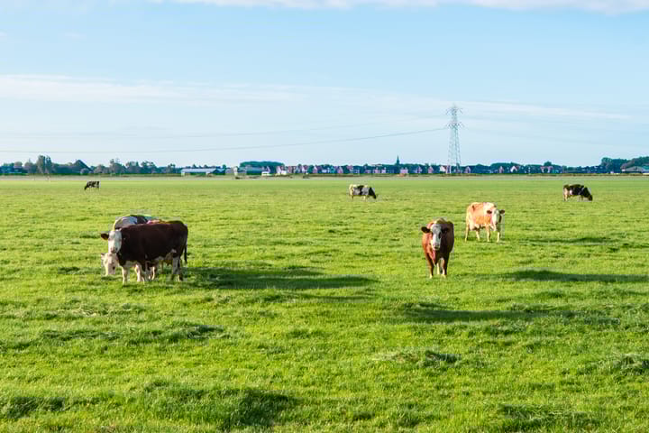 Foto 35 van Bobeldijk 144