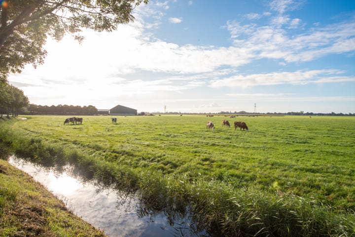 Foto 36 van Bobeldijk 144