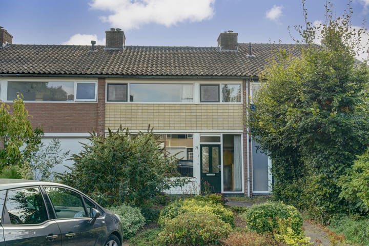 Foto 2 van Vogelplantsoen 71