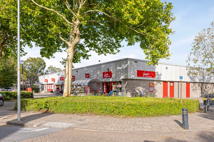 Foto 38 van Lindenlaan 52