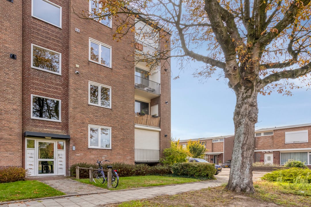 Foto 7 van Plutostraat 153