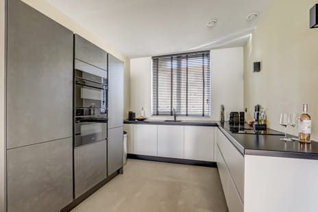 Baars 68 tertiary image