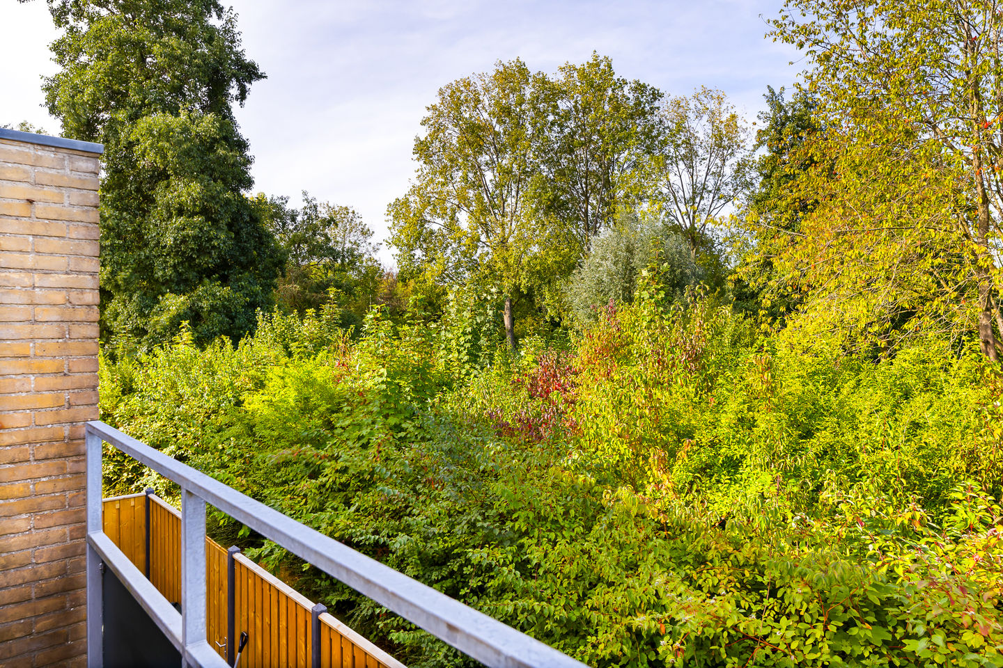 Foto 10 van Westerzicht 679