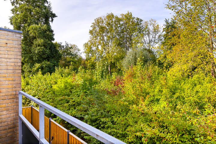 Foto 10 van Westerzicht 679