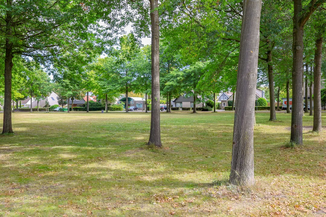 Foto 56 van Schipbeekstraat 4