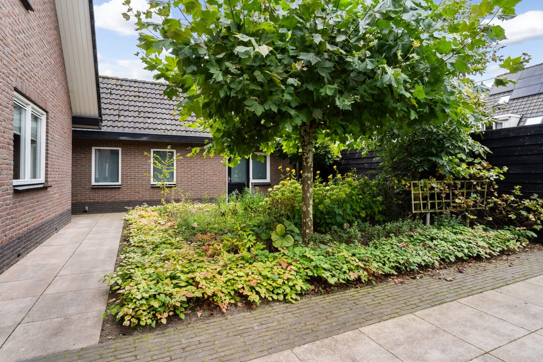 Foto 38 van Egypte 2