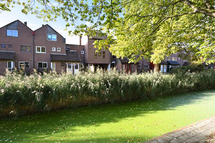 Foto 33 van Violiervaart 53