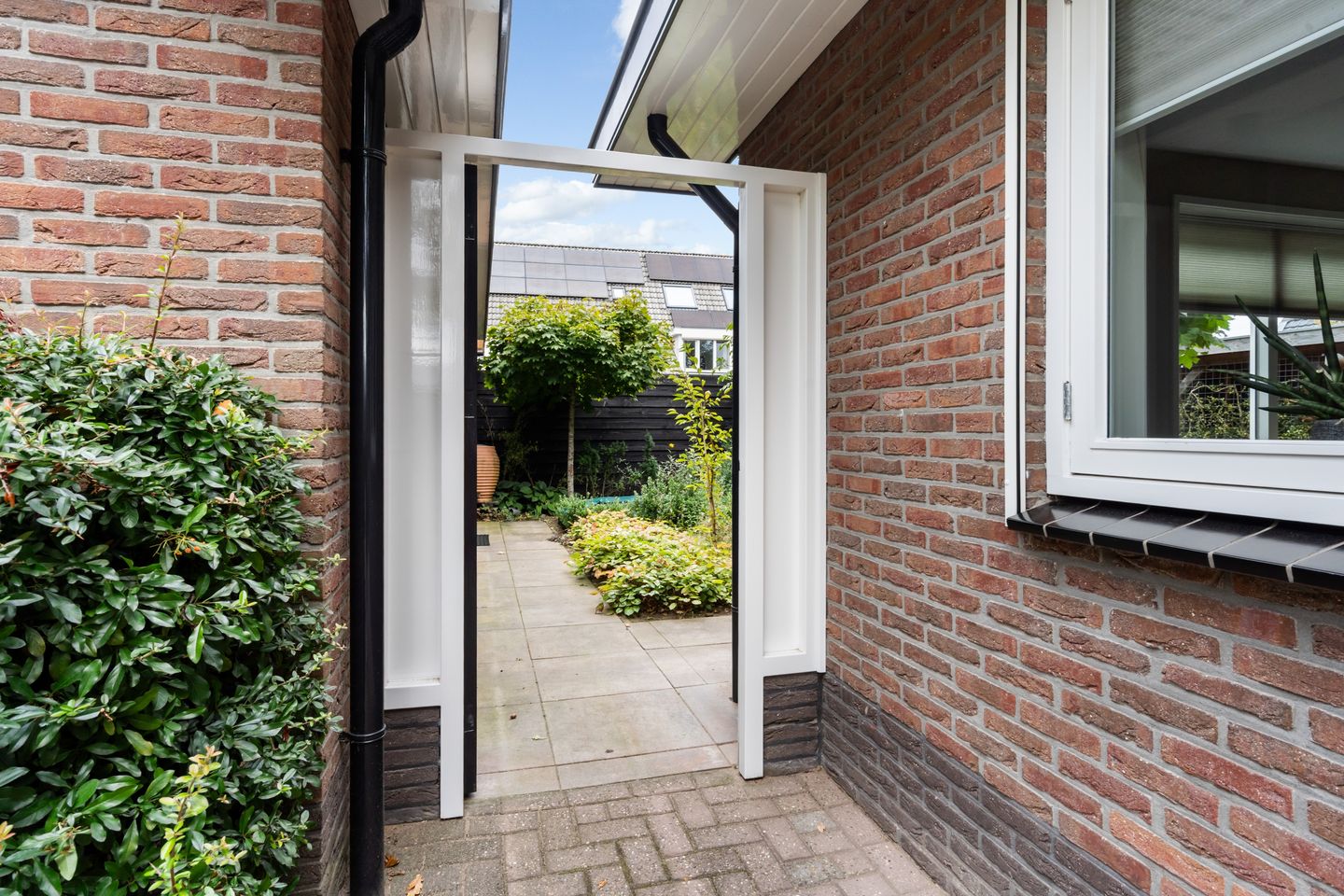 Foto 50 van Egypte 2